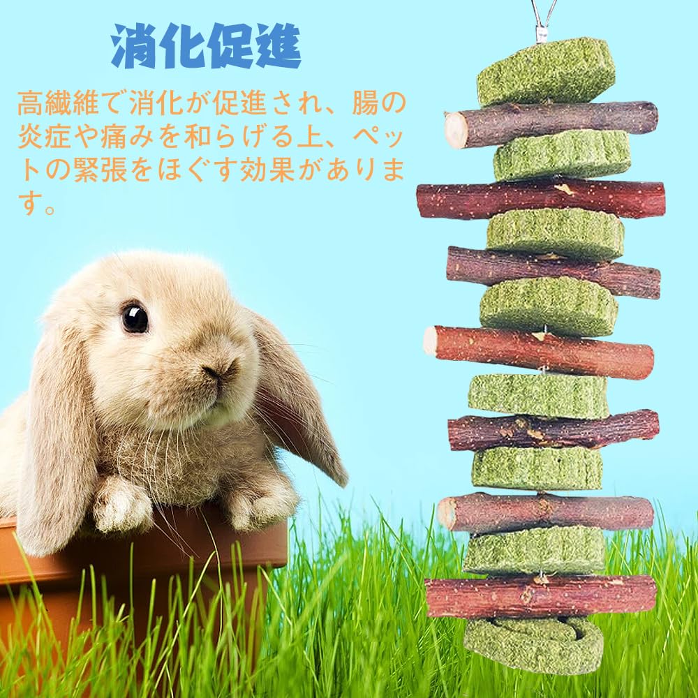 Amazon.co.jp: YBGGJO ハムスター 歯磨き 牧草塊とりんご枝